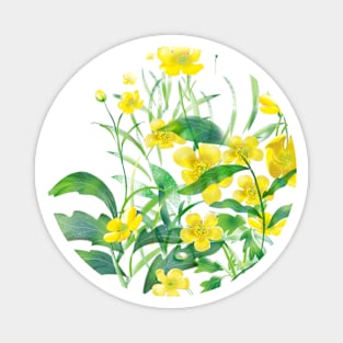 Yellow summer flowers Magnet